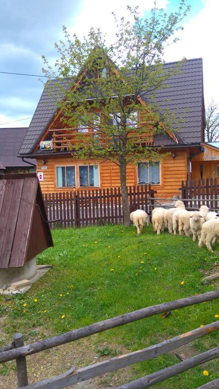 Pokoje U Sarnowskich Koscielisko Bagian luar foto