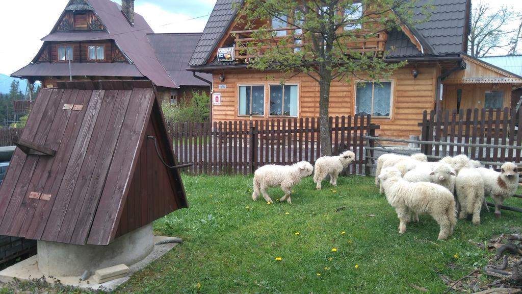 Pokoje U Sarnowskich Koscielisko Bagian luar foto